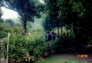 still going to church