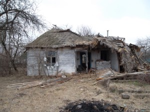 Wanting to buy this to build another house for more girls.