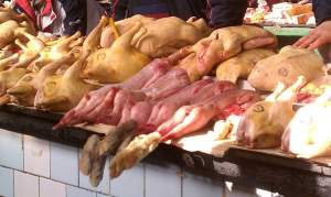 FB_IMG_1450198663708